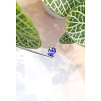 3.68 Ct. Bluish Purple Sapphire from Ceylon (Sri Lanka) Life Style