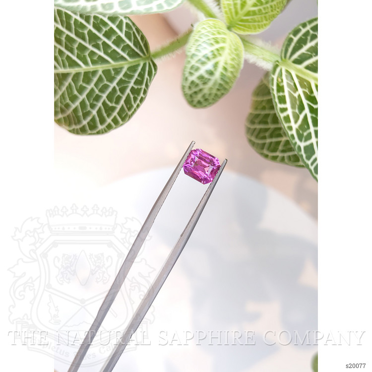 2.67 Ct. Pink Sapphire from Ceylon (Sri Lanka)