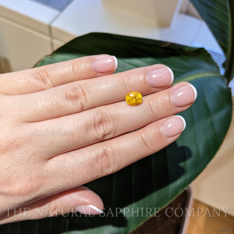 2.62 Ct. Yellow Sapphire from Ceylon (Sri Lanka)