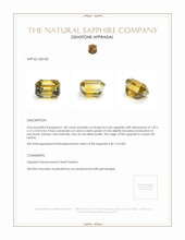 1.86 Ct. Bi Color Sapphire from Ceylon (Sri Lanka) Appraisal