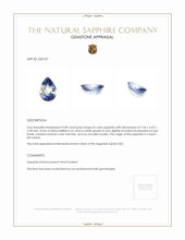 0.88 Ct. Sapphire from Ceylon (Sri Lanka) Appraisal