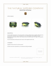 1.20 Ct. Yellowish Green Sapphire from Madagascar Appraisal