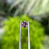 1.04 Ct. Pinkish Purple Sapphire from Madagascar Life Style