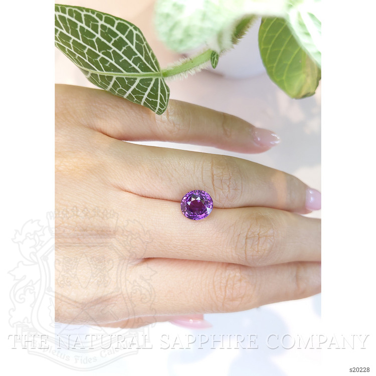 3.52 Ct. Purple Sapphire from Ceylon (Sri Lanka)