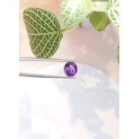 3.52 Ct. Purple Sapphire from Ceylon (Sri Lanka) Life Style