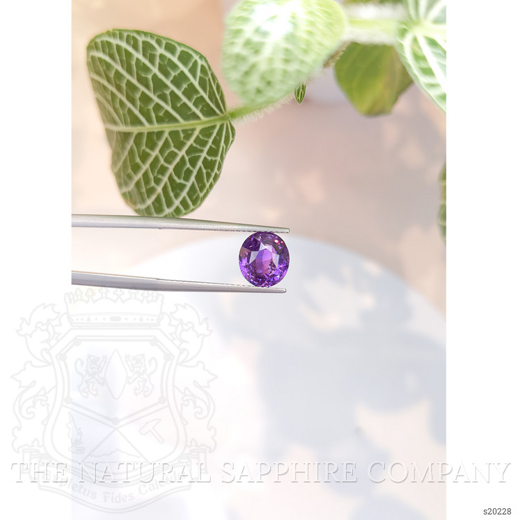 3.52 Ct. Purple Sapphire from Ceylon (Sri Lanka)