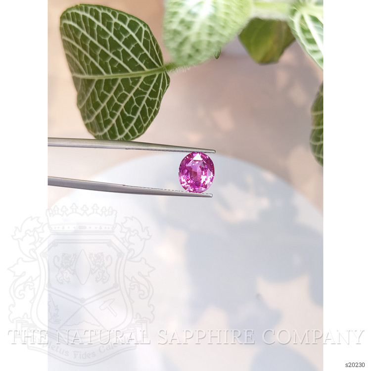 3.13 Ct. Pink Sapphire from Ceylon (Sri Lanka)