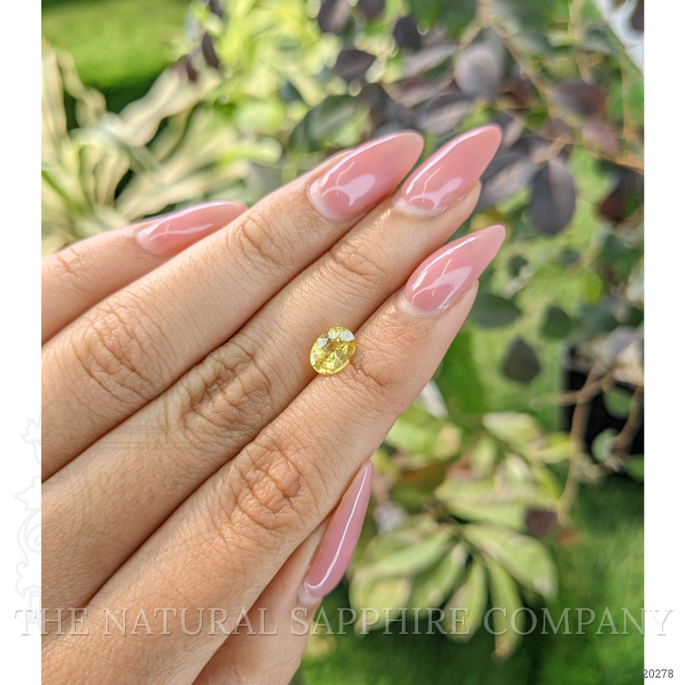 1.29 Ct. Yellow Sapphire from Ceylon (Sri Lanka)