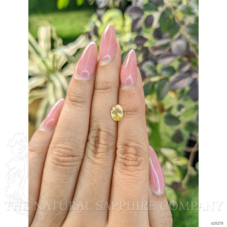 1.29 Ct. Yellow Sapphire from Ceylon (Sri Lanka)