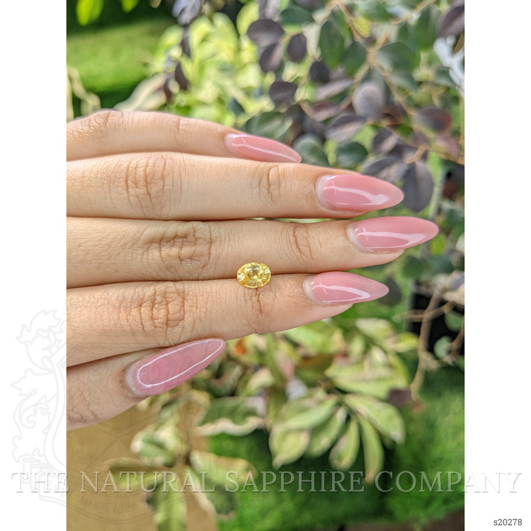 1.29 Ct. Yellow Sapphire from Ceylon (Sri Lanka)