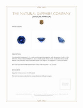 1.15 Ct. Sapphire from Ceylon (Sri Lanka) Appraisal