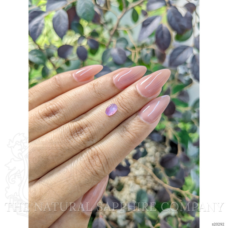 0.87 Ct. Purple Star Sapphire from Ceylon (Sri Lanka)