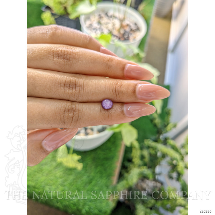 1.76 Ct. Purple Star Sapphire from Ceylon (Sri Lanka)