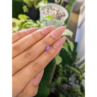 1.07 Ct. Purple Star Sapphire from Ceylon (Sri Lanka) Life Style