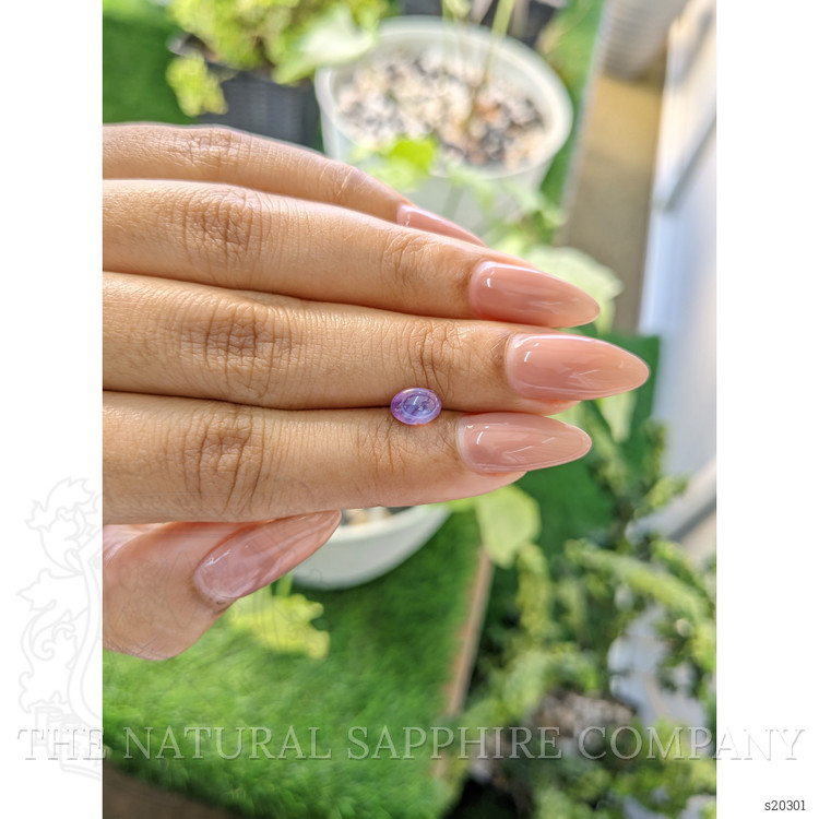 1.07 Ct. Purple Star Sapphire from Ceylon (Sri Lanka)