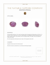 1.03 Ct. Sapphire from Ceylon (Sri Lanka) Appraisal
