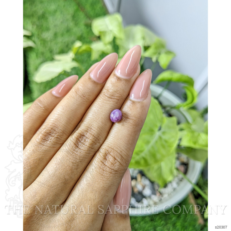 2.14 Ct. Purple Star Sapphire from Ceylon (Sri Lanka)