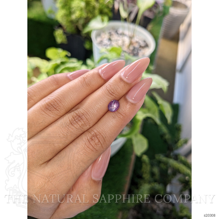 1.48 Ct. Purple Star Sapphire from Ceylon (Sri Lanka)