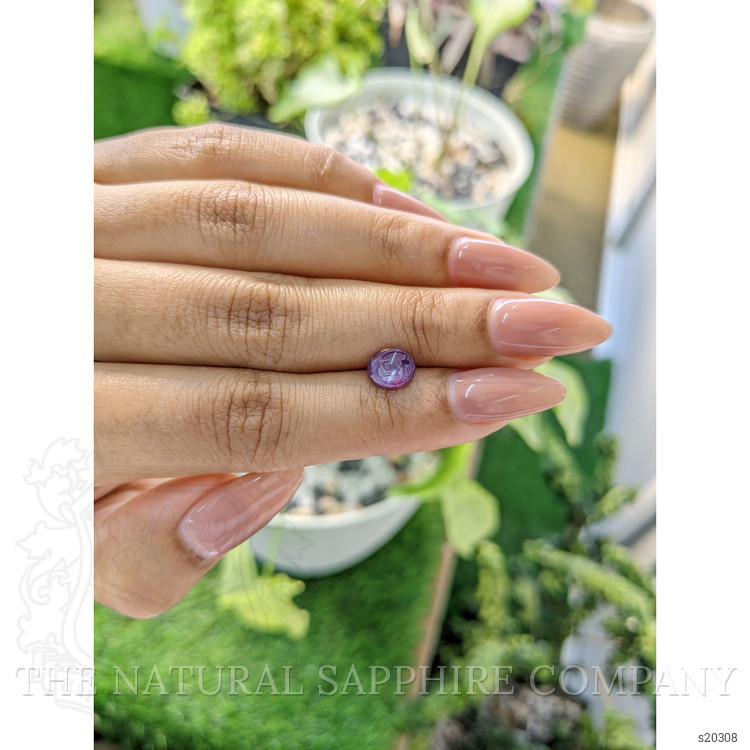 1.48 Ct. Purple Star Sapphire from Ceylon (Sri Lanka)