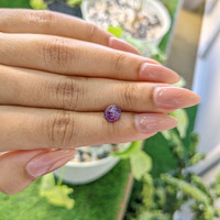 1.94 Ct. Purple Star Sapphire from Ceylon (Sri Lanka) Life Style