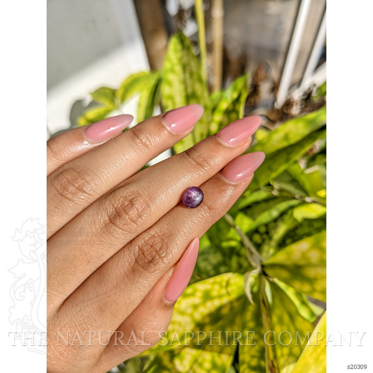 1.94 Ct. Purple Star Sapphire from Ceylon (Sri Lanka)