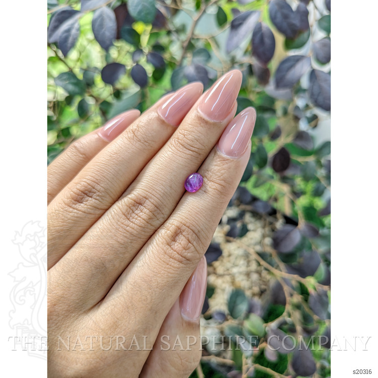 1.26 Ct. Pinkish Purple Star Sapphire from Ceylon (Sri Lanka)