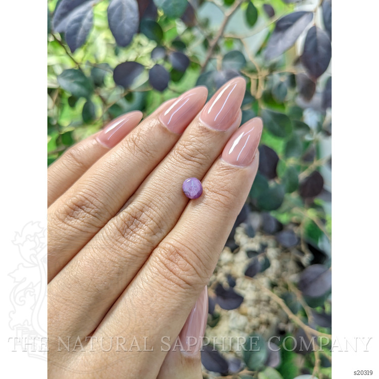 1.37 Ct. Purple Star Sapphire from Ceylon (Sri Lanka)