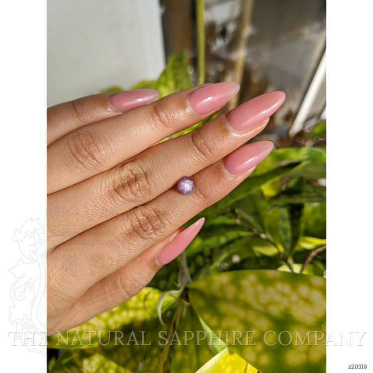 1.37 Ct. Purple Star Sapphire from Ceylon (Sri Lanka)