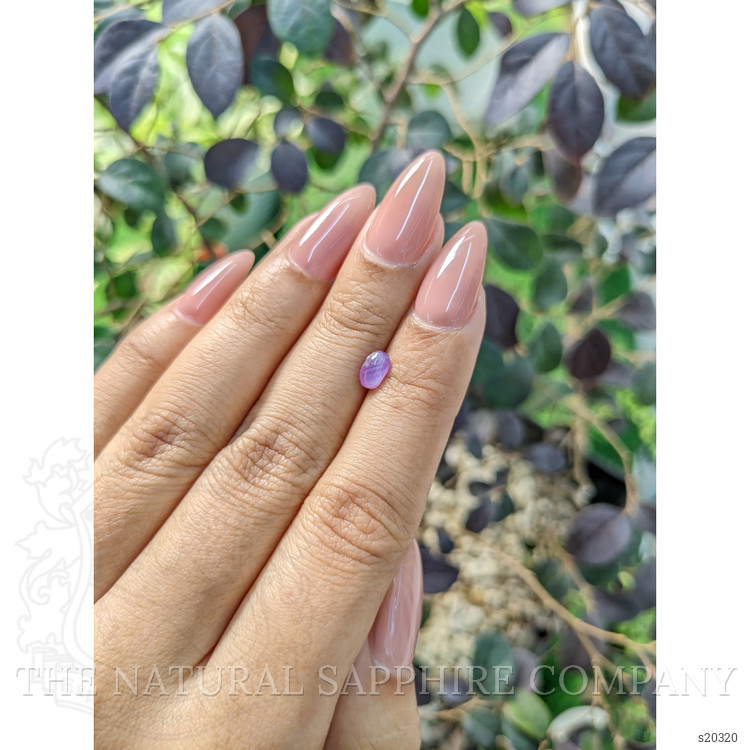 0.77 Ct. Pinkish Purple Star Sapphire from Ceylon (Sri Lanka)