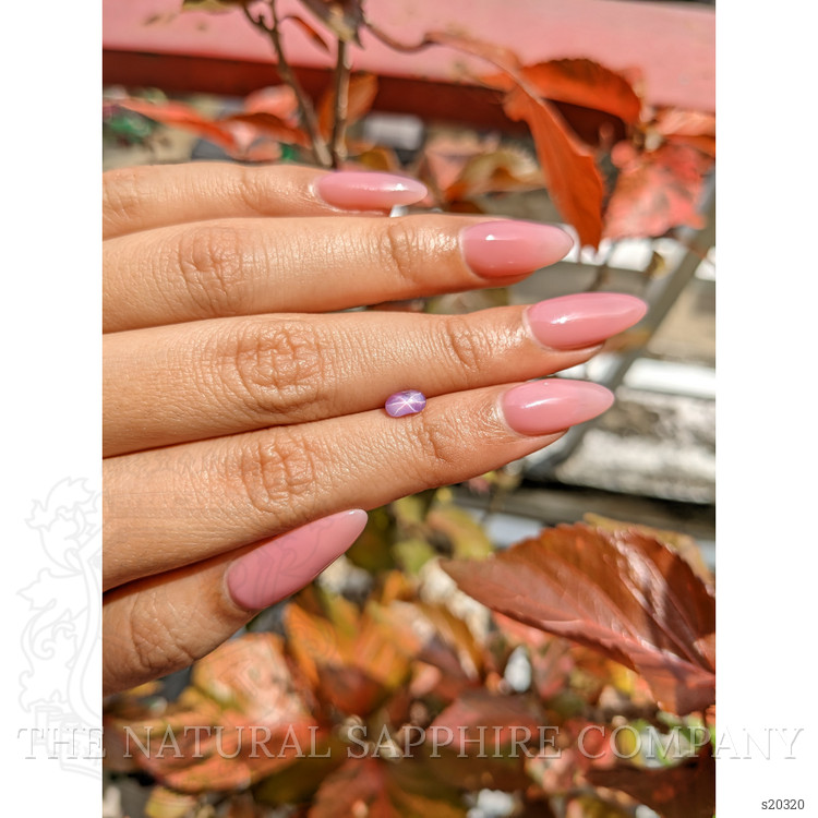 0.77 Ct. Pinkish Purple Star Sapphire from Ceylon (Sri Lanka)