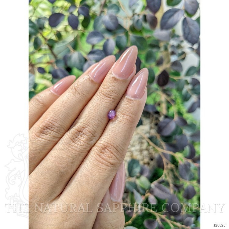 0.81 Ct. Pinkish Purple Star Sapphire from Ceylon (Sri Lanka)