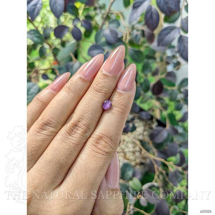 1.03 Ct. Pinkish Purple Star Sapphire from Ceylon (Sri Lanka)