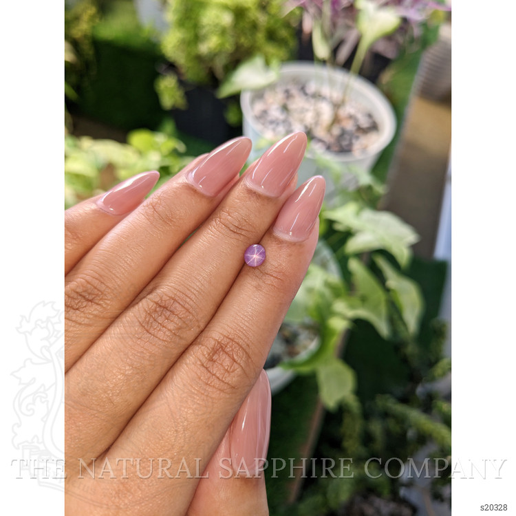 0.71 Ct. Purple Star Sapphire from Ceylon (Sri Lanka)