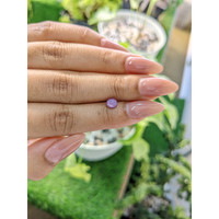 0.71 Ct. Purple Star Sapphire from Ceylon (Sri Lanka) Life Style