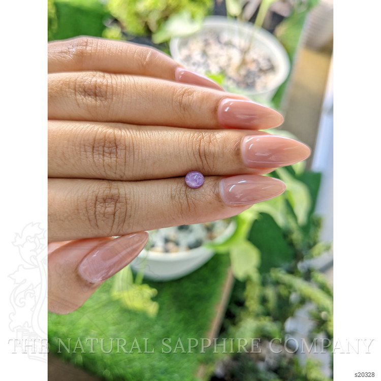 0.71 Ct. Purple Star Sapphire from Ceylon (Sri Lanka)