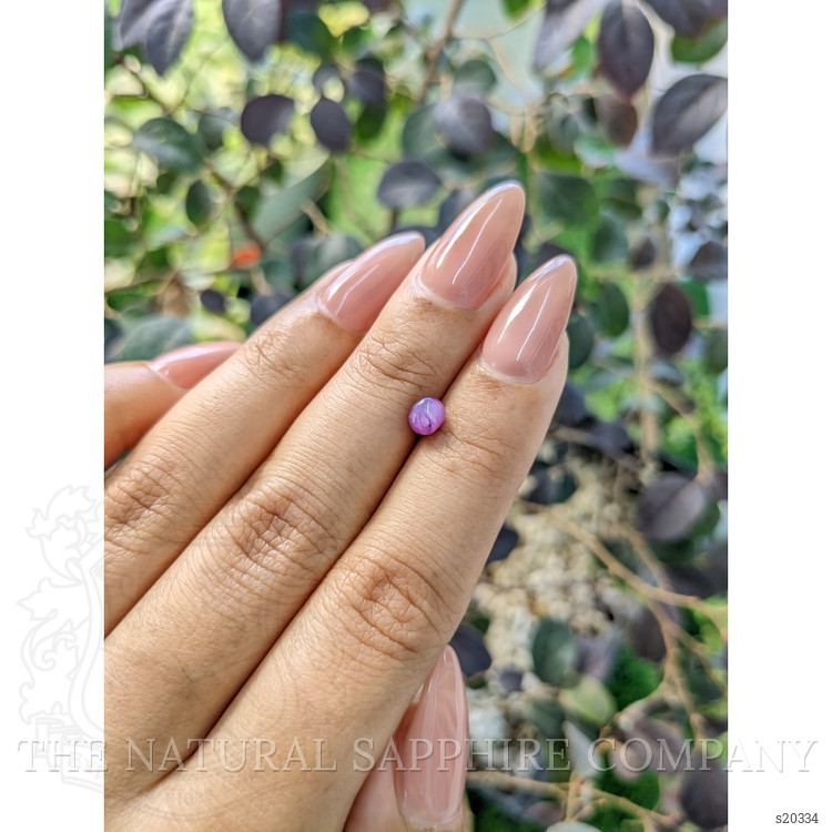 0.90 Ct. Purple Star Sapphire from Ceylon (Sri Lanka)