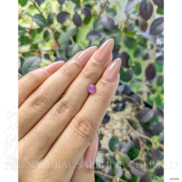 1.03 Ct. Pinkish Purple Star Sapphire from Ceylon (Sri Lanka)