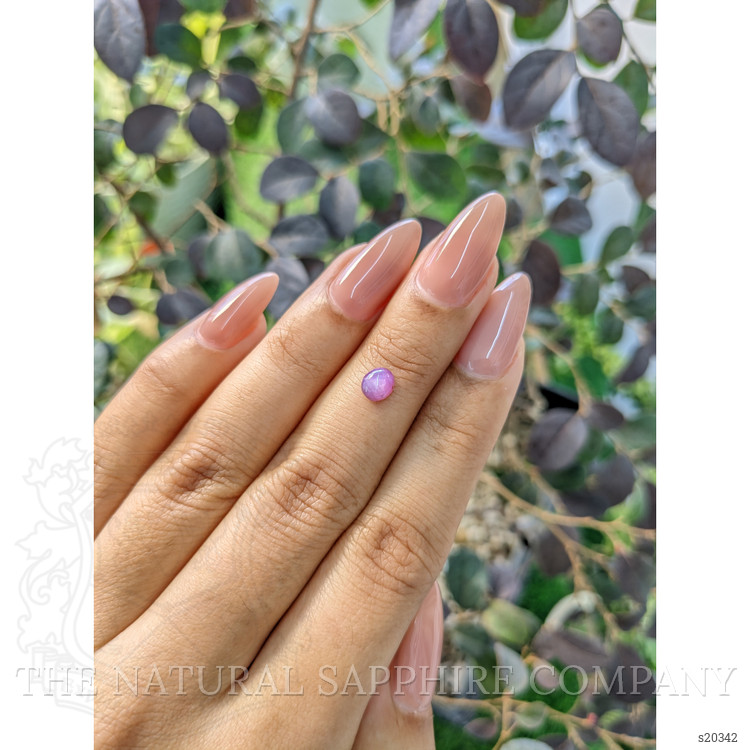 0.77 Ct. Pinkish Purple Star Sapphire from Ceylon (Sri Lanka)