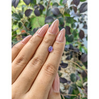 1.22 Ct. Purple Star Sapphire from Ceylon (Sri Lanka) Life Style