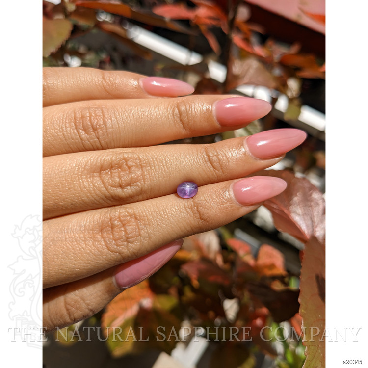 1.22 Ct. Purple Star Sapphire from Ceylon (Sri Lanka)