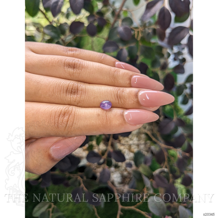 1.22 Ct. Purple Star Sapphire from Ceylon (Sri Lanka)