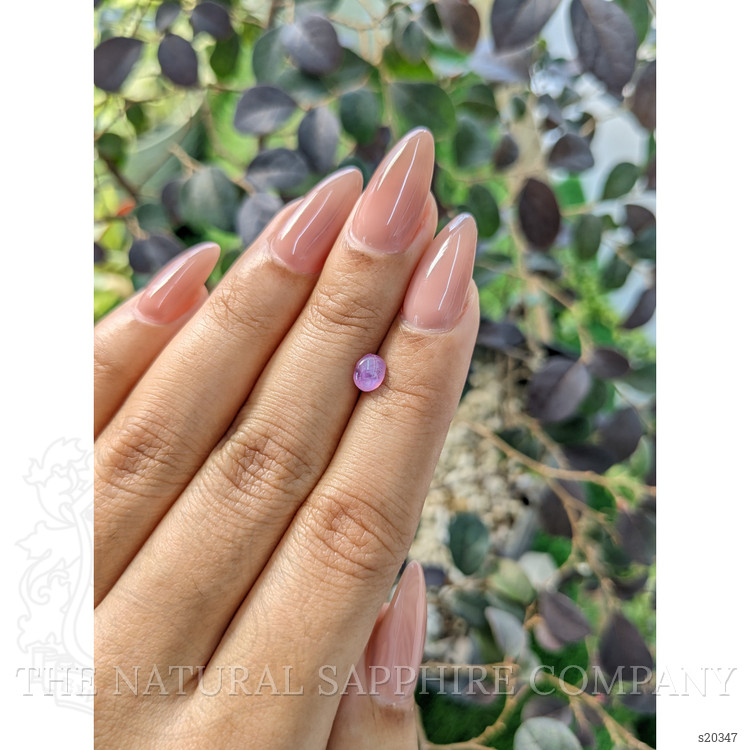 0.72 Ct. Purplish Pink Star Sapphire from Ceylon (Sri Lanka)