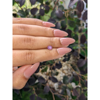 0.72 Ct. Purplish Pink Star Sapphire from Ceylon (Sri Lanka) Life Style