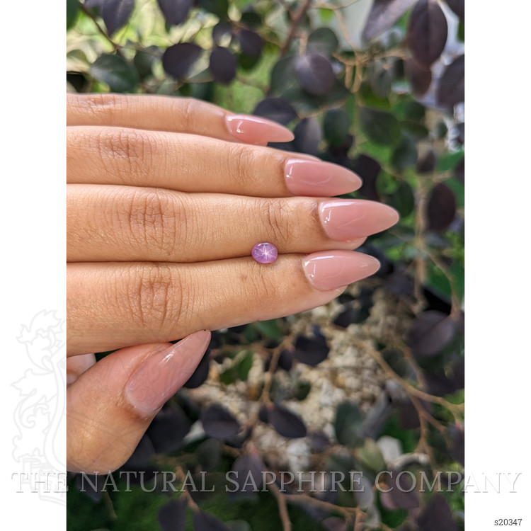 0.72 Ct. Purplish Pink Star Sapphire from Ceylon (Sri Lanka)