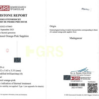 Jewelry Scan Report