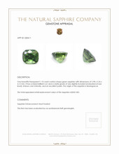 1.10 Ct. Green Sapphire from Madagascar Appraisal