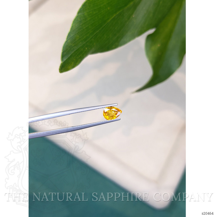 1.34 Ct. Yellow Sapphire from Ceylon (Sri Lanka)