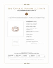 Jewelry Scan Report