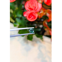 0.57 Ct. Bluish Green Sapphire from Thailand Life Style