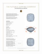 Jewelry 3 D Scan Report